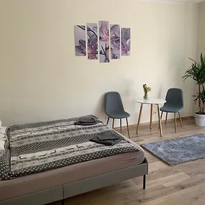 Világos, Kellemes Lakás, Jó Közlekedéssel Budapest
